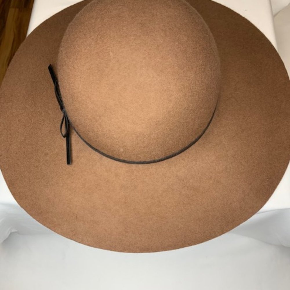 Brown Wool Hat - image 1